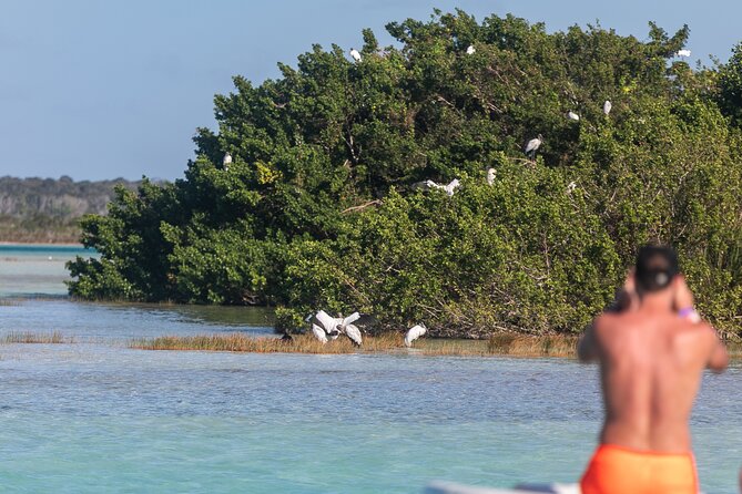 Catamaran Adventure: Sailing and Swimming in the Bacalar Lagoon - Meeting point and timing details that matter