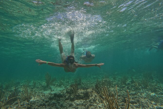 Catamaran Cruise in Riviera Maya With Snorkeling & Beach Club - Simple ways to make the day better