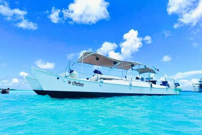 Catamaran Snorkel Adventure to El Cielo and The Money Bar Beach - The first reef stop: Palancar and its marine life