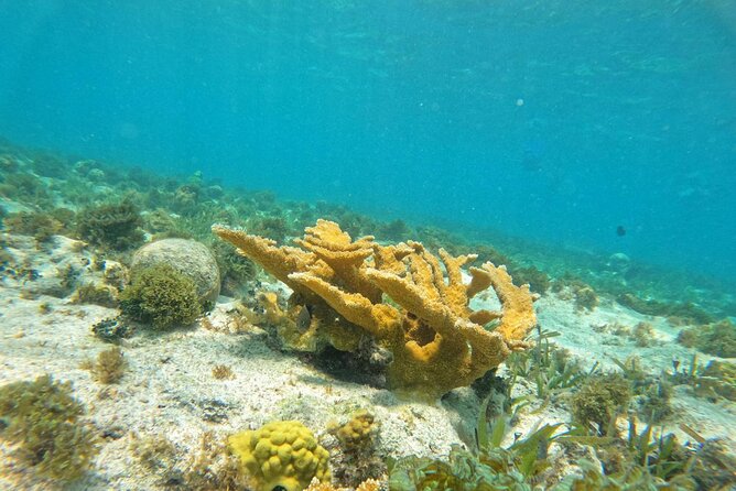Catamaran with Snorkeling and North Beach, Isla Mujeres - The golf cart warning you should take seriously