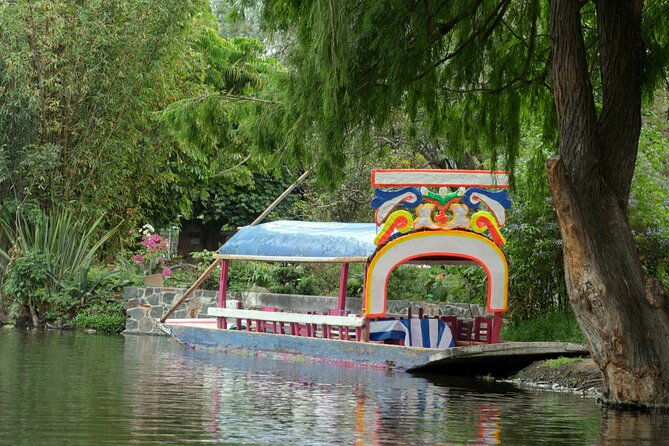 CDMX Enjoy a unique tour of Xochimilco and Coyoacán - The real cost of a $33 tour