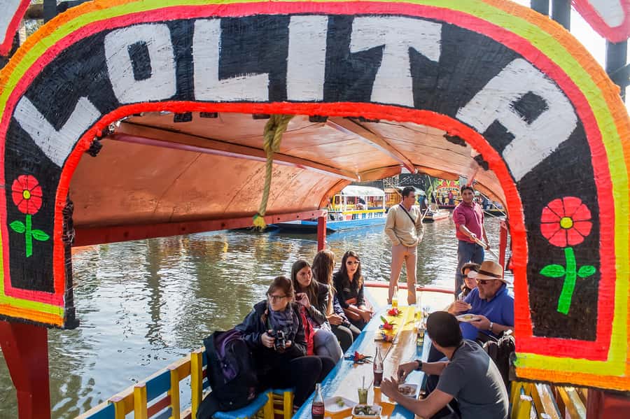 CDMX: Xochimilco, Coyoacan, Frida Kahlo Museum & Murals Tour - Who should book this experience?