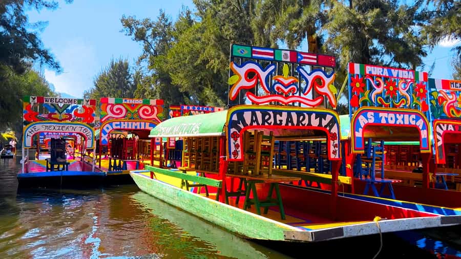 CDMX: Xochimilco Trajinera Party, Drinks, Mariachi & Tacos - Included drinks, from beer to mezcal