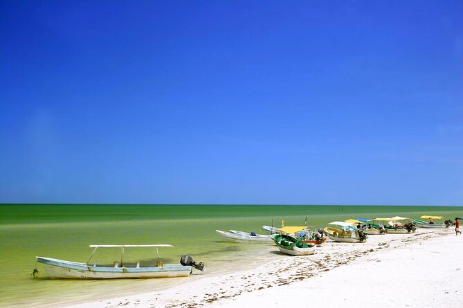 Celestun Beach and Mangrove Boat Ride from Merida - Key points to know before you book