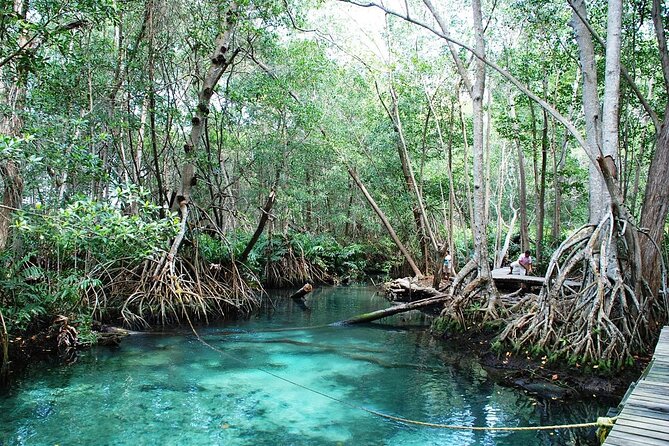 Celestun Beach and Mangrove Boat Ride from Merida - The 8:00 am departure from Merida