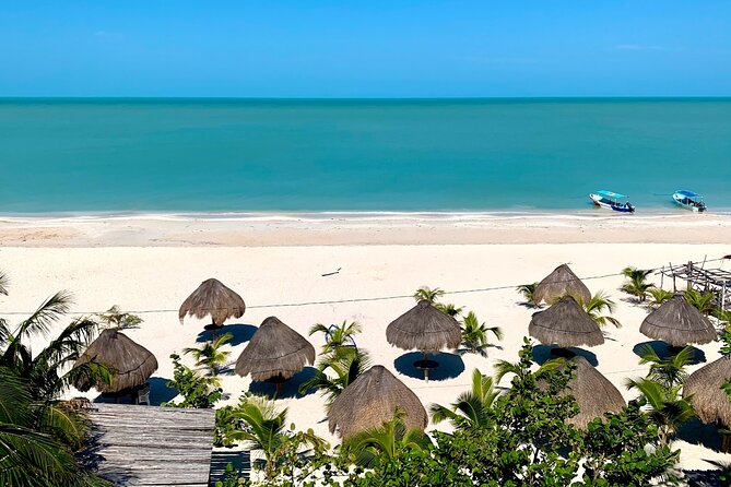 Celestun Beach and Mangrove Boat Ride from Merida - What the $128 price really covers