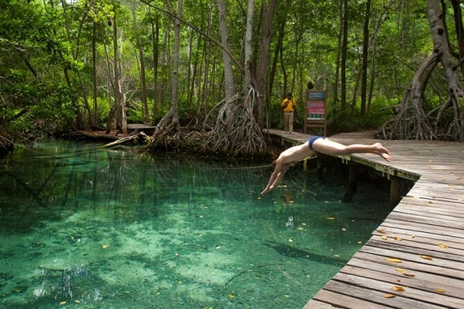 Celestun Beach and Mangrove Boat Ride from Merida - The best season and the role of weather