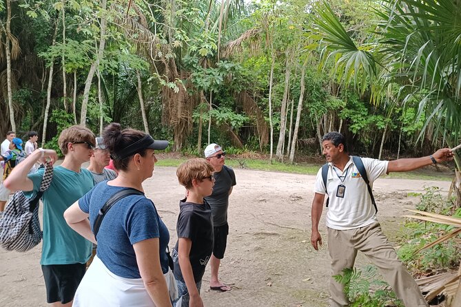 Chacchoben Mayan Ruins Excursion - Two hours among Chacchoben’s temples