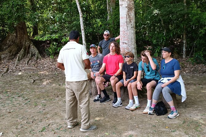 Chacchoben Mayan Ruins Excursion - Jungle views and the feel of the archaeological park