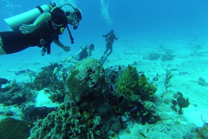 Chankanaab Cozumel Scuba Diving - Key details to know before you go