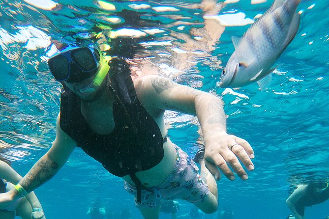 Chankanaab Park Admission + Snorkeling - Thirty minutes on the Chankanaab Reef