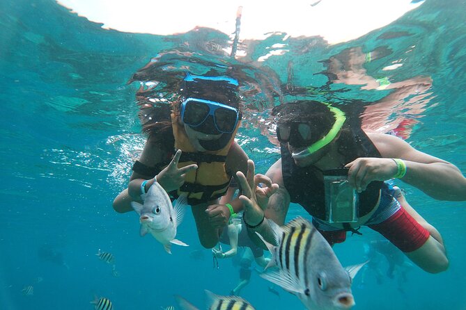 Chankanaab Park Admission + Snorkeling - A two-hour look around Chankanaab Adventure Beach Park