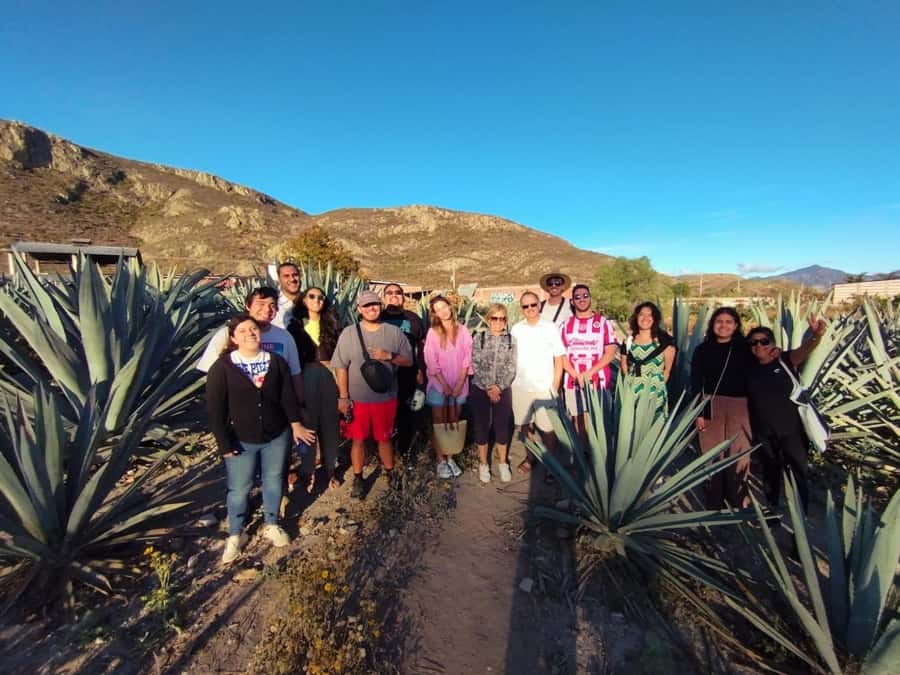 Check out Hierve el Agua, Mitla, the Tule Tree, Rugs, and a Mezcal Distillery Tour - The buffet stop: useful, but not a highlight