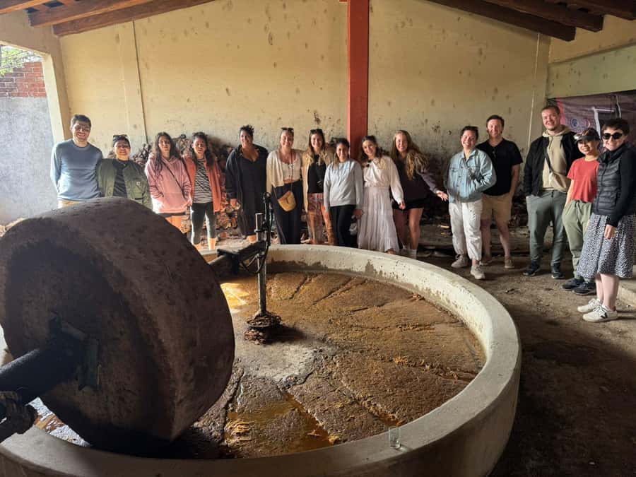 Check out Hierve el Agua, Mitla, the Tule Tree, Rugs, and a Mezcal Distillery Tour - Mezcal: a lively finish with plenty to taste