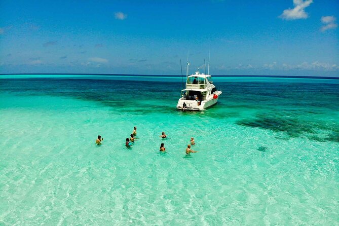 Cielito Cozumel: Mexican Caribbean Snorkeling Tour - Palancar Reef: coral, fans, and underwater structure