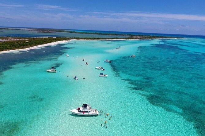 Cielito Cozumel: Mexican Caribbean Snorkeling Tour - El Cielo: shallow water and starfish