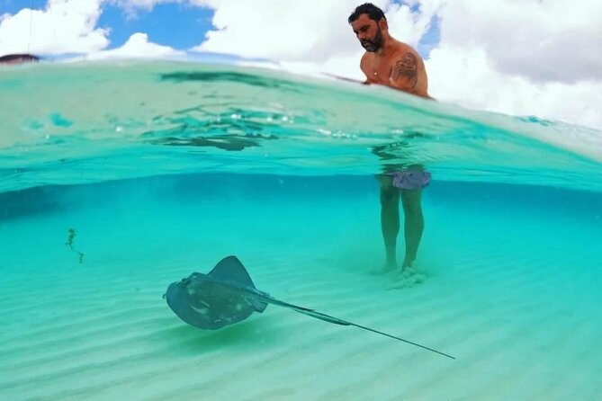Cielito Cozumel: Mexican Caribbean Snorkeling Tour - Delays and cruise-ship planning