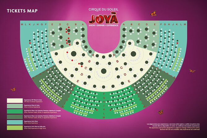 Cirque du Soleil JOYÀ Admission Tickets - Dinner, Drinks, and Dress
