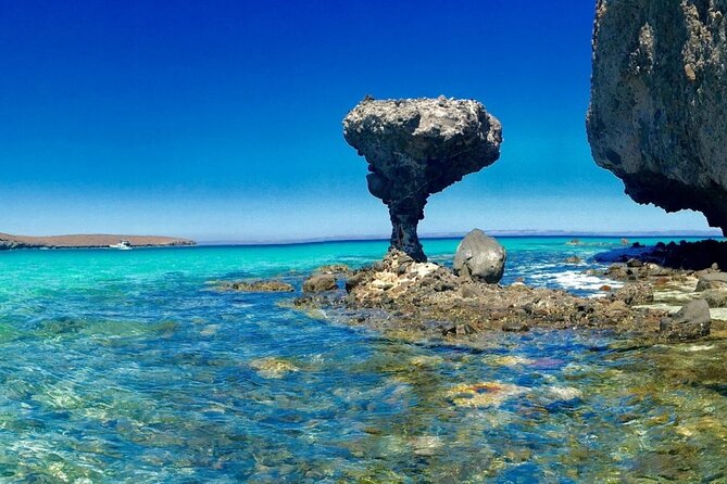 CityTour La Paz, Balandra beach and the Magic Town of Todos Santos - The 4 a.m. reality of pickup