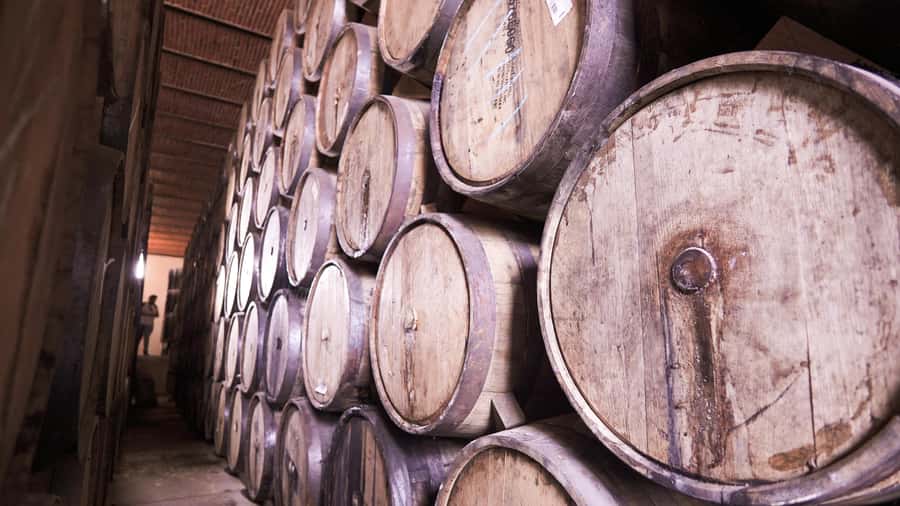 Classic Tequila Route Tour from Guadalajara and cantaritos el GÜERO!!! - Lunch and regional food in Tequila