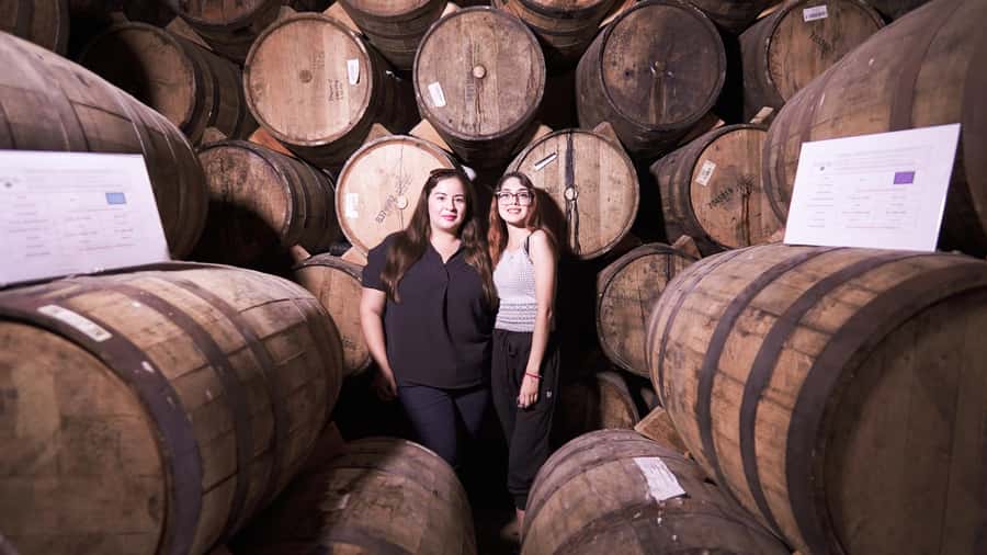 Classic Tequila Route Tour from Guadalajara and cantaritos el GÜERO!!! - What the $41 price really includes