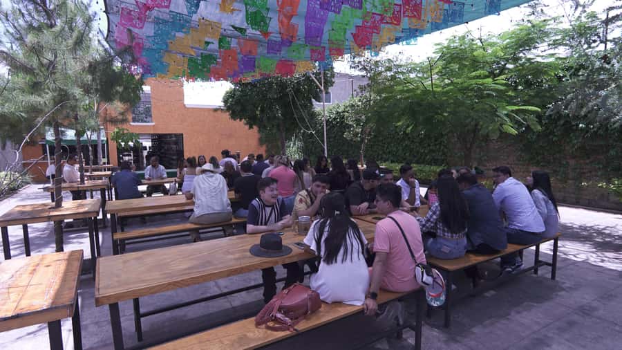 Classic Tequila Route Tour from Guadalajara and cantaritos el GÜERO!!! - Who will enjoy this tour most?