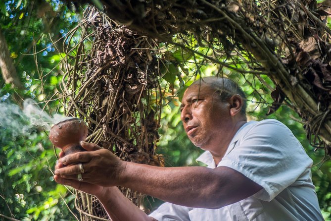 Coba Ruins, Punta Laguna Nature Reserve, Cenote and Mayan family - Finishing at a quiet cenote