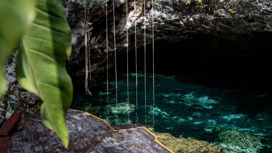 Coba, Tulum, Cenote & Lunch ECO Full Day from Rivera - Transport can shape the entire day