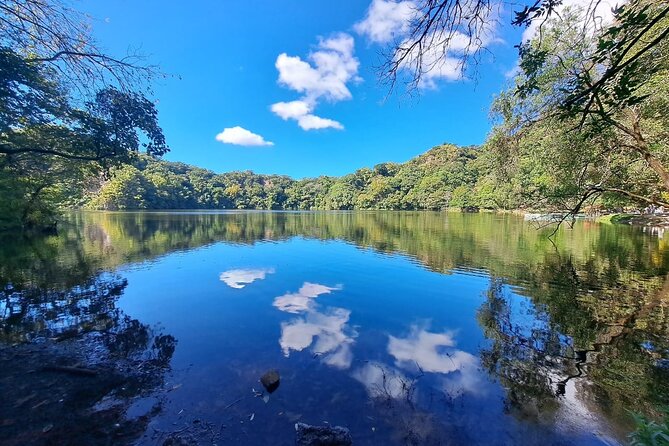 Colima Volcano Cultural Tour: Coffee Plantation, Hacienda and Comala Magic Town - Why This Colima Day Trip Works