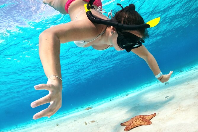 Colombia, Palancar & Cielo Cozumel Snorkel Tour - Why this Cozumel trip is appealing