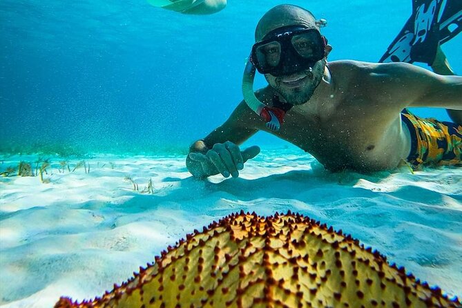 Colombia, Palancar & Cielo Cozumel Snorkel Tour - El Cielo, El Cielito, and the shallow-water stops