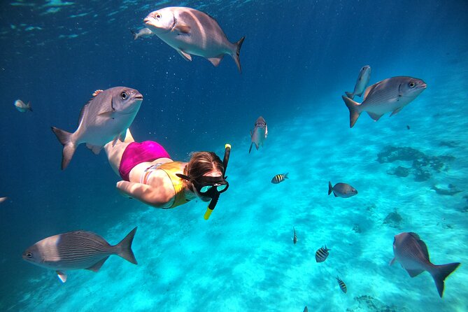 Colombia, Palancar & Cielo Cozumel Snorkel Tour - Food, drinks, and the final sandbar stop