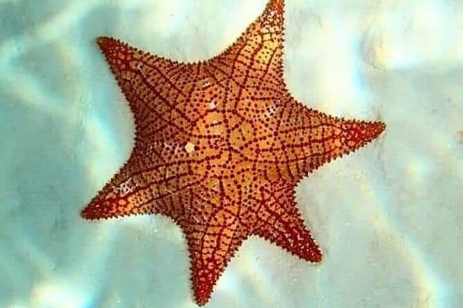Colombia, Palancar & Cielo Cozumel Snorkel Tour - Snorkeling equipment and practical comfort