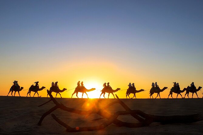 Combo Horseback Ride and Sky Bike in Cabo - Two Cabo adventures in one short outing