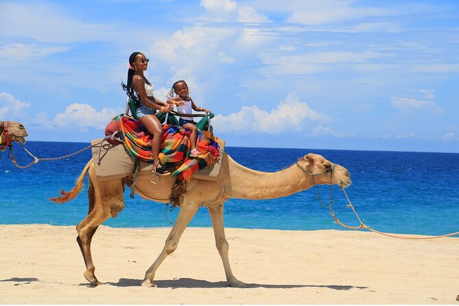 Combo Horseback Ride and Sky Bike in Cabo - What the published timing really means