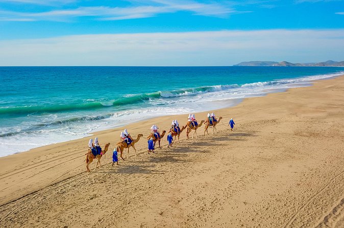 Combo Single Offroad 4x4 UTV, Camel Ride, Lunch & Tequila Tasting - Lunch beside the ocean