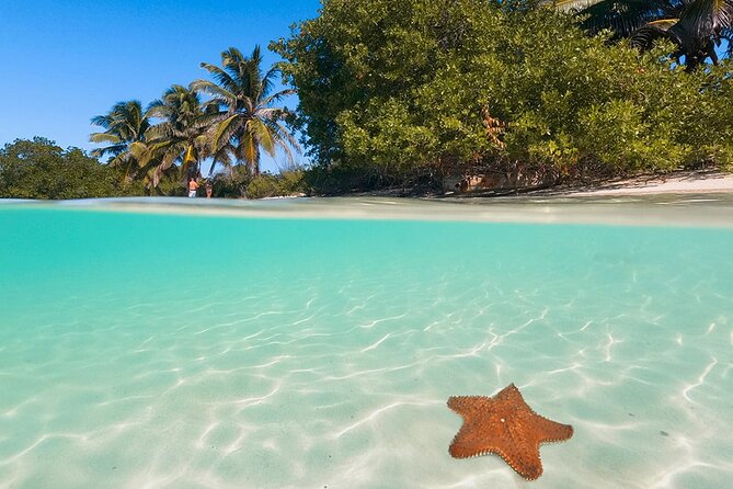 Contoy Island Tour from Cancun and Isla Mujeres with Snorkeling - The 45 to 60 minute crossing to Contoy