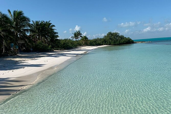 Contoy Island Tour from Cancun and Isla Mujeres with Snorkeling - Three hours on Contoy Island