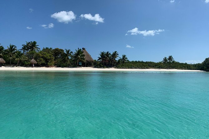 Contoy Island Tour from Cancun and Isla Mujeres with Snorkeling - Lunch under a palapa