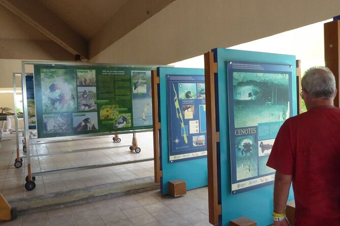Contoy Island Tour from Cancun and Isla Mujeres with Snorkeling - The crew and language question