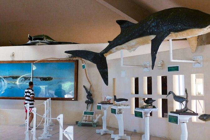 Contoy Island Tour from Cancun and Isla Mujeres with Snorkeling - Who will enjoy this trip most