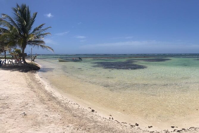 Costa Maya Beach Break All Inclusive From Port - Who will enjoy this beach club most