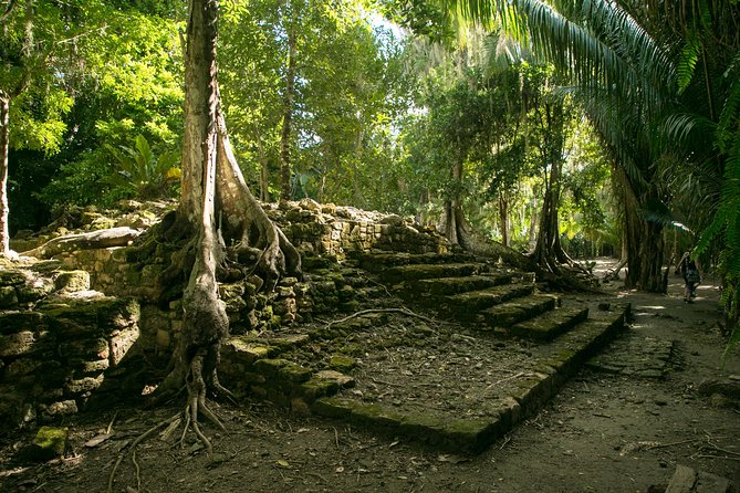 Costa Maya Shore Excursion: Chacchoben Day Trip - Key points to know before you book