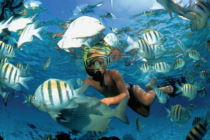 Costa Maya Snorkel Tour - Guides who make the short outing worthwhile