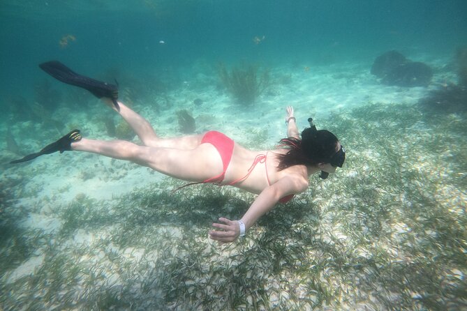 Costa Maya, snorkeling on the reef with fish, looking for turtles - What you may see beneath the surface
