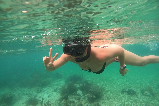 Costa Maya, snorkeling on the reef with fish, looking for turtles - How the $30 price compares with the experience