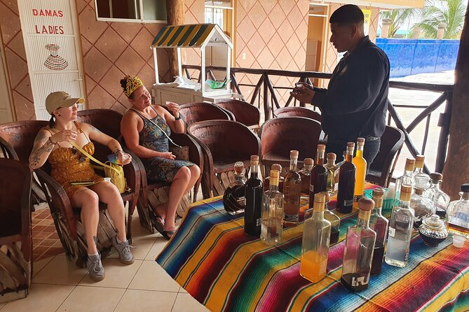 Cozumel 5-Hour Private Bar Crawl Tour - El Mirador: pool time, shopping, and photos