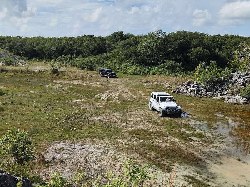 Cozumel: 5-Hour Private Caves and Ruins Tour with Lunch - The ride, the cooler, and the vehicle question