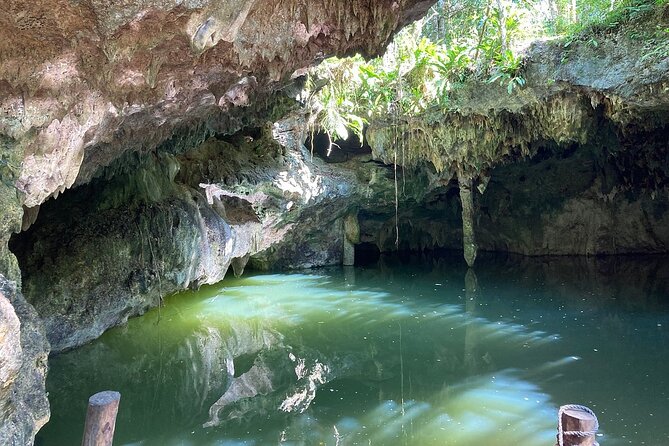 Cozumel ATVs, El Cedral Ruins, Cenote Jade, and Tequila - Tequila, chocolate, and honey after the ride