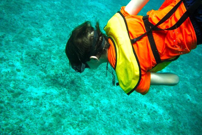 Cozumel Buggy Tour: Snorkeling , Otoch Mayan Experience & Lunch - Guide quality can shape the whole day